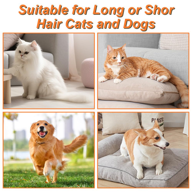 Cat Steam Brush for Shedding - 2025 New Cat Grooming Brush With Steam, Rechargeable Steam Pet Brush for Dogs and Cat,Anti-Static Steam Pet Brush,Massage, Cleaning, Shedding & Combing All In One Khaki - PawsPlanet Australia