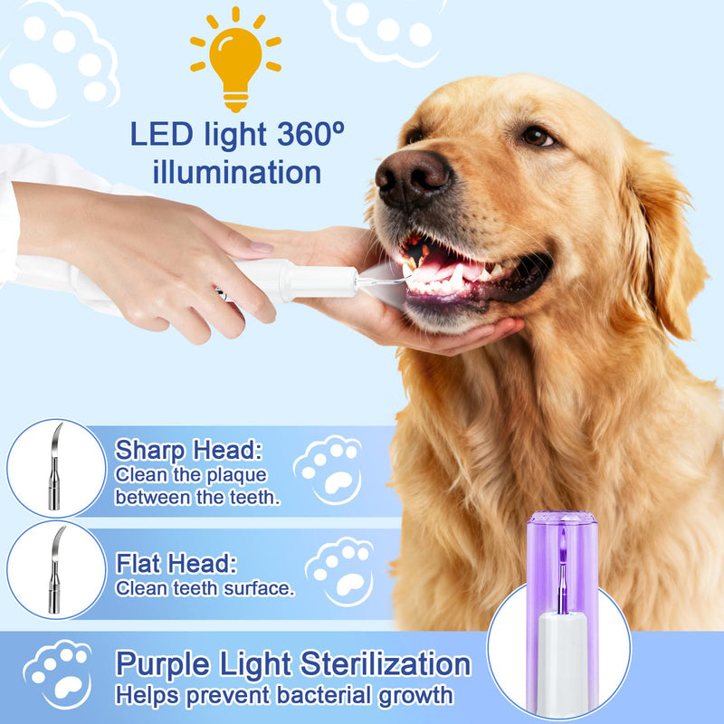 ETACCU Dog Plaque Remover for Teeth, Dog Plaque Remover Tool with LED Light, 5 Modes Teeth Cleaning Tools, Low Noise Pet Tooth Brushing Kit Dental Tools for Dog and Cat, White - PawsPlanet Australia