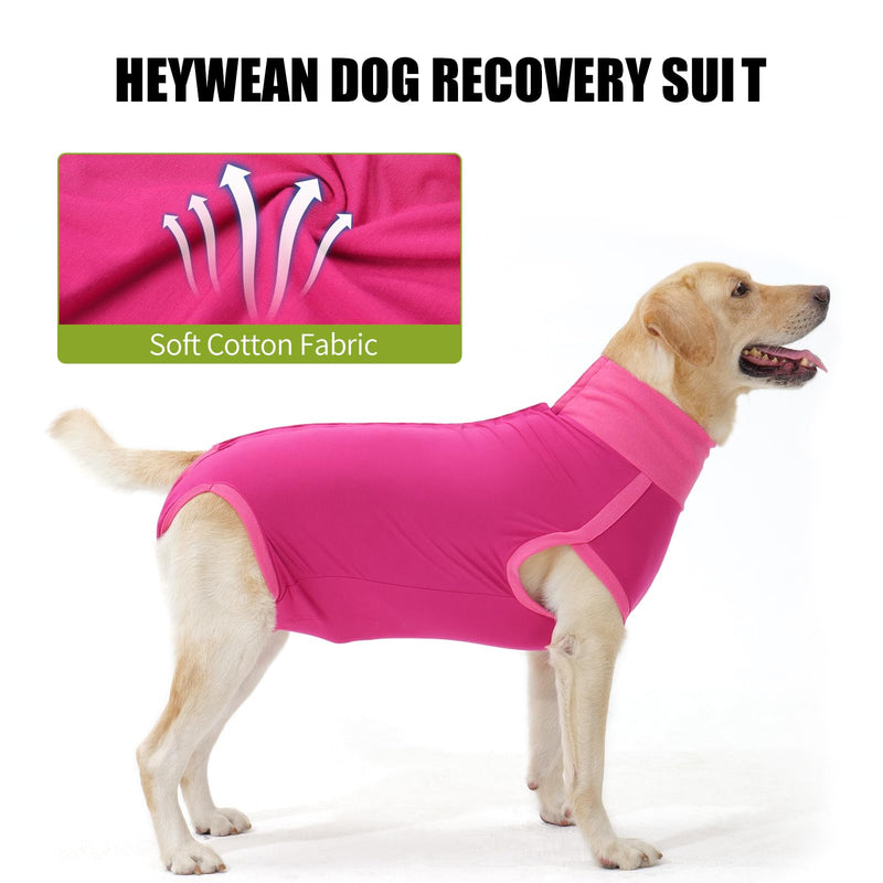 HEYWEAN Dog Recovery Suit - Female Spay Post Op Suit for Dogs After Surgery M Rose