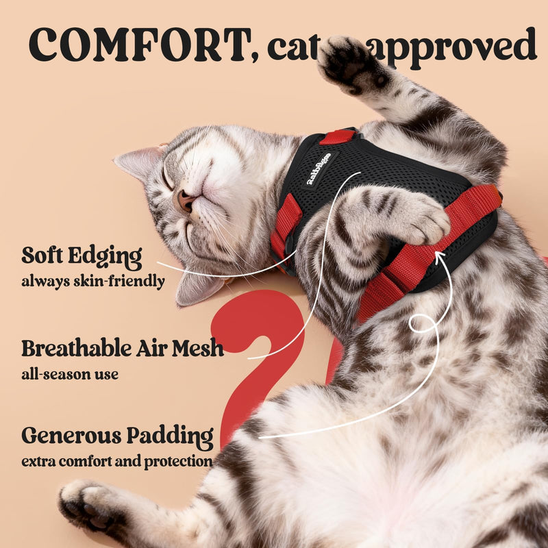 rabbitgoo Cat Harness and Lead Set, Escape Proof Kitten Harness with Leash, Metal Ring, Lightweight Soft, Reflective Adjustable Vest for Small Cat Walking Travel XS (Pack of 1), Black & Red XS (Pack of 1)