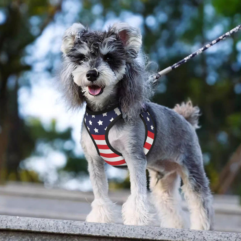 American Star Flag No Pull Dog Harness and Leash Set, Reflective Vest for Small Dogs, Adjustable Breathable Cute Classic Mesh Puppy Harness for Walking Hiking,Small American Star Flag - PawsPlanet Australia