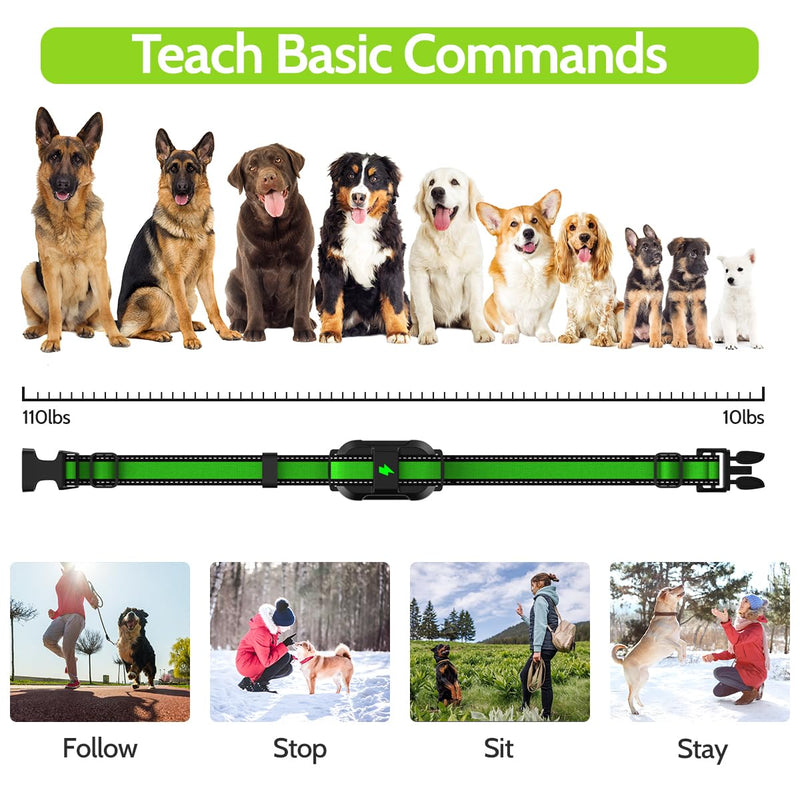 Dog Training Collar Electric Dog Shock Collar with 4 Training Modes and Waterproof Rechargeable Remote Range 3300Ft for Large Medium Small Dogs (Green) Green - PawsPlanet Australia