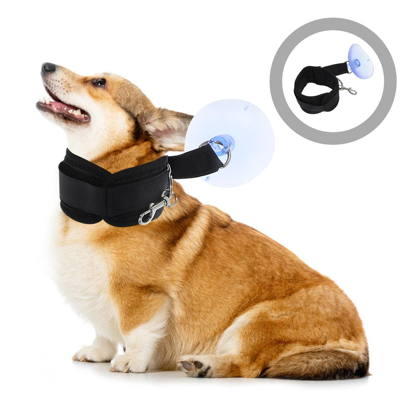 Suction cup dog bath set with adjustable grooming leash for cats and dogs for use in bathtubs and showers during grooming