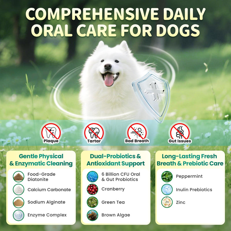 Dog Dental Powder – Teeth Cleaning Powder with 6B CFU Probiotics, Enzymes & Antioxidants, Plaque & Tartar Off, Fresh Breath Support, 75 Days, Mint Chicken Flavor, No Brushing Oral Care Mint-Chicken 75 Servings - PawsPlanet Australia