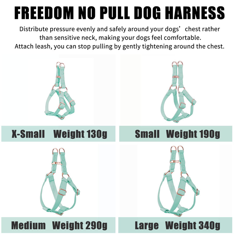 Soft Leather No Pull Dog Harness - Adjustable Step in Dog Harness with Rose Gold Heavy Duty Metal Buckle, Freedom Nylon Dog Halter Vests for Small Medium Large Dogs Easy Walking Training (Green,S) Mint Green S (Neck&Chest Girth 14"-21" x Width 0.8") - PawsPlanet Australia