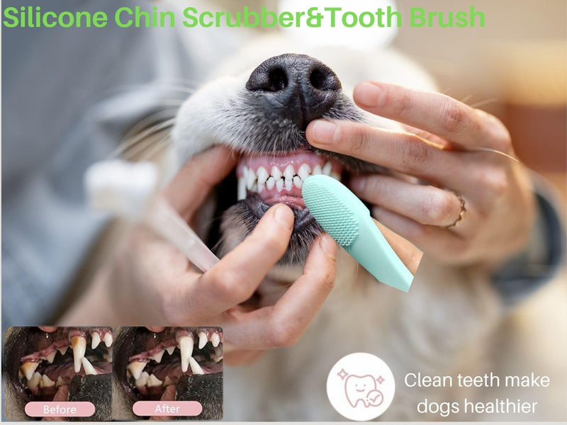 Dog Grooming Kit 9pcs Dog Brush for Shedding- Self-Cleaning Slicker Brush,Grooming Glove,Cat Comb,Pet Toothbrush,Towel & Travel Bag – Ideal for Long & Short Hair Pets - PawsPlanet Australia