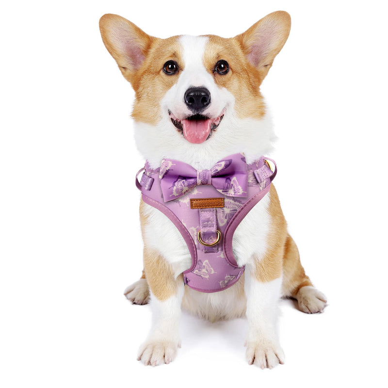 Cute Dog Collar, Harnesses & Leash Set with Gold Colored Metal Components – Breathable and Adjustable Dog Collar and Leash Set with Bowtie - Soft Dog Vest Harness for Puppies Small and Medium Dogs - PawsPlanet Australia