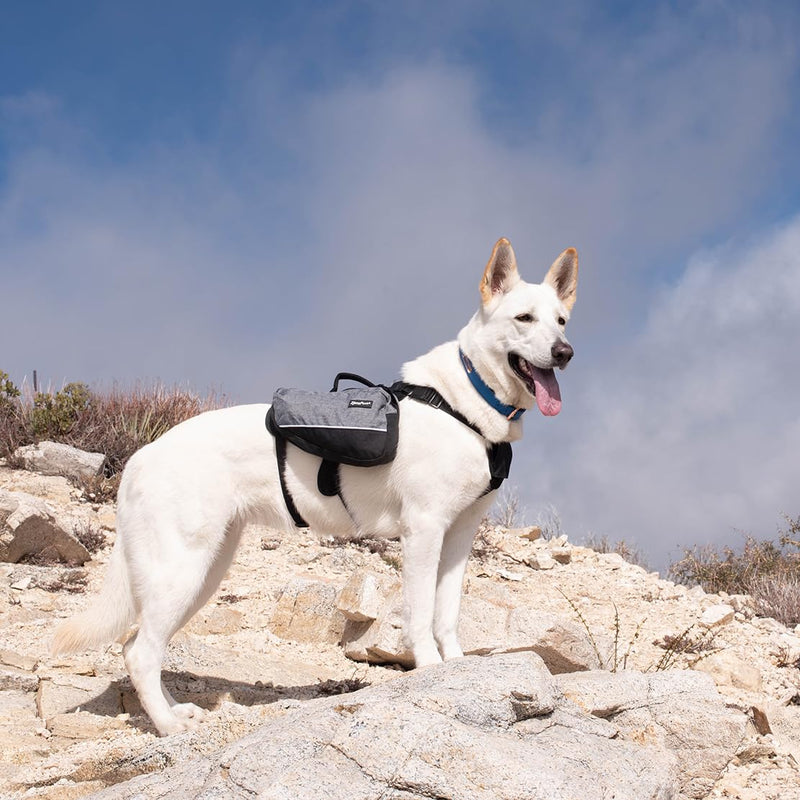 Adventure Backpack - Pink - L - PawsPlanet Australia
