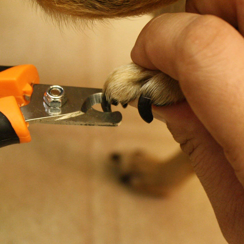 GoPets Pet Nail Clipper Bundle for Dogs and Cats with Large and Small Nail Trimmer with Free Nail File Grinder with Quick Guard and Angled Blades for Safety 2 Nail Cutter Bundle - PawsPlanet Australia