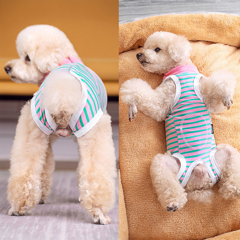 1 Premium Post-Surgical Recovery Shirt for Dogs – Adjustable Anti-Licking Bodysuit with Breathable Fabric – Striped Medical Garment for Male & Female Pets