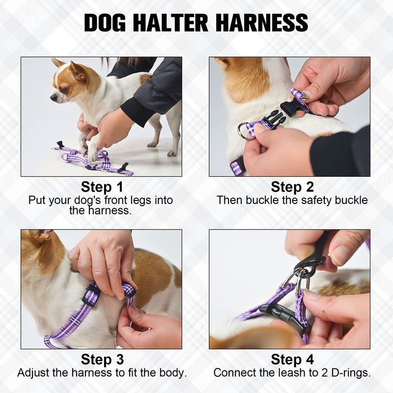 BEAUTYZOO No Pull Dog Harness and Leash Set - Adjustable Step-in Puppy Harness for Small Medium Large Dogs, Escape Proof Soft Nylon Vest with Double D Ring for Walking Running Training, Purple S S(Chest:15-21") Purple Flowers - PawsPlanet Australia