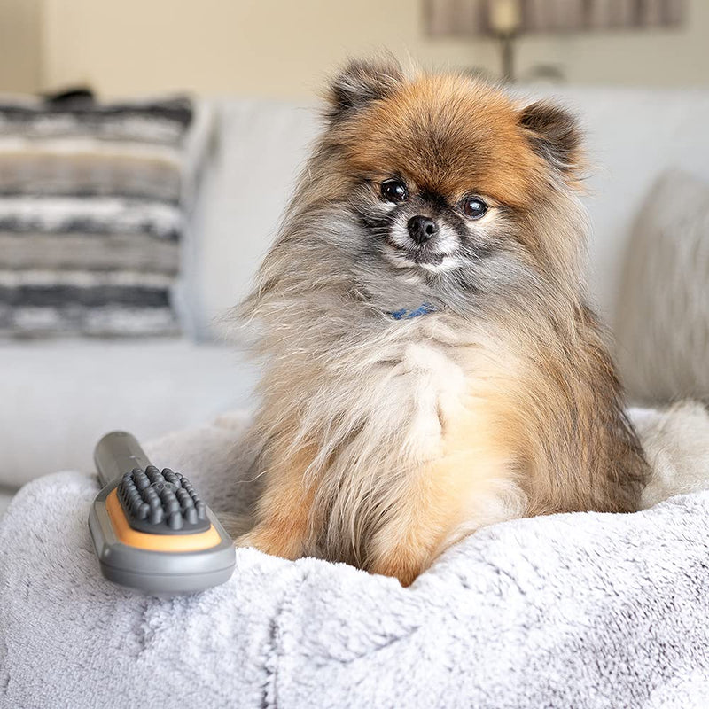 Buzz Therapeutic Brush Vibration Pet Massager for Dogs and Cats Designed to Help Soothe Tension, Increase Circulation and Relieve Tight Muscles - PawsPlanet Australia