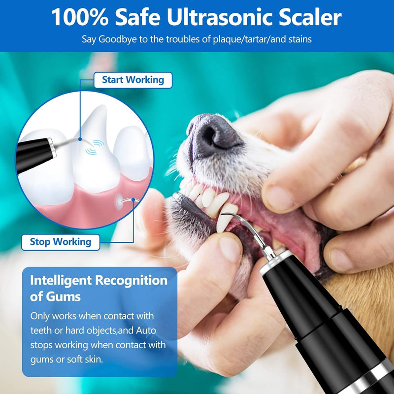 Plaque Remover for Teeth - Pet Ultrasonic Cleaner - Teeth Cleaning Kit for Tartar and Stains - Suitable for Dogs and Cats (Black) Black