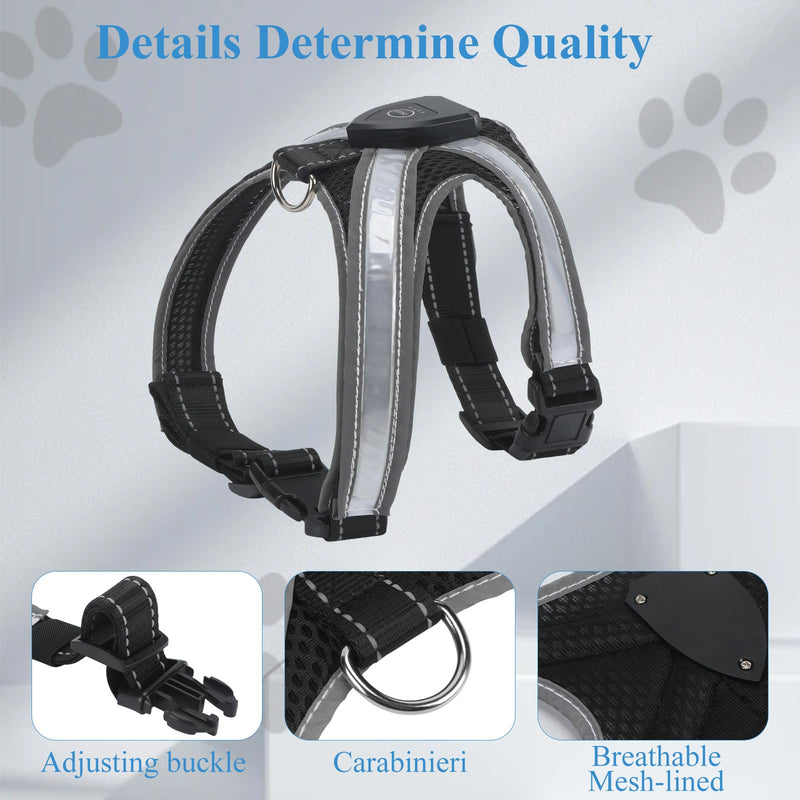 Light Up Dog Harness, LED Dog Harness-7 Lighting Modes, Rechargeable, Lightweight and Adjustable, Suitable for Small and Medium Dogs, Glowing Safety Vest for Nighttime Dog Walking - PawsPlanet Australia