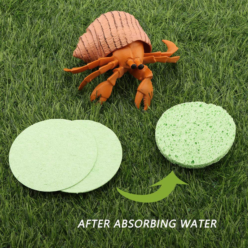 kcrygogo Hermit Crab Green Sponge Hermit Crab Accessories for Maintaining Hermit Crab Tank Humidity Supplies(10pcs) - PawsPlanet Australia