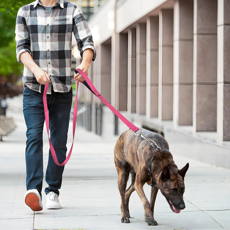 6 FT Dog Leash with 2 Padded Handle Nylon Reflective Dogs Leashes for Small Medium Large Dogs Hot Pink Large : 1" x 6 FT - PawsPlanet Australia