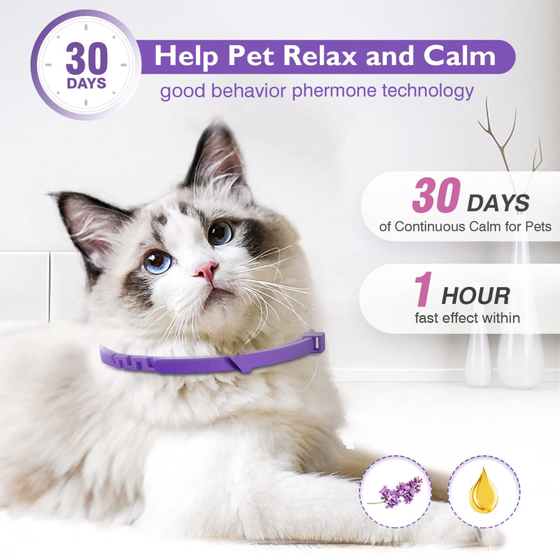 3 Pack Calming Collar Efficient Relieve Reduce Anxiety Stress Pheromones Calm Relaxing Comfortable Breakaway Collars Adjustable for Small, Medium Large Cat, Kittens Purple