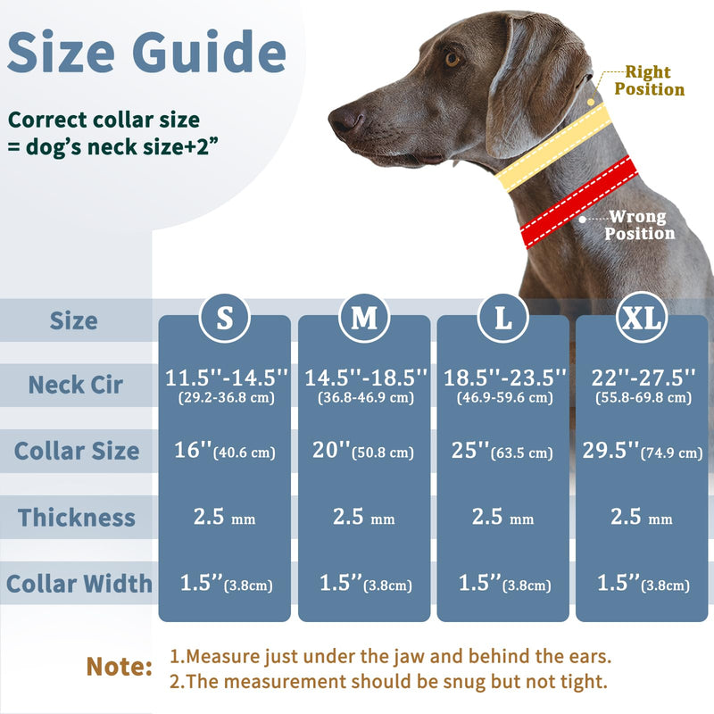Mayerzon Martingale Prong Collar for Dogs, Patented No Pull Pinch Collar with American Flag and Buckle for Small Medium Large Dogs Training Walking Hunting, Adjustable and Heavy Duty(M, Rainbow) Medium,2.5mm,20-Inch,14.5-18.5"Neck - PawsPlanet Australia