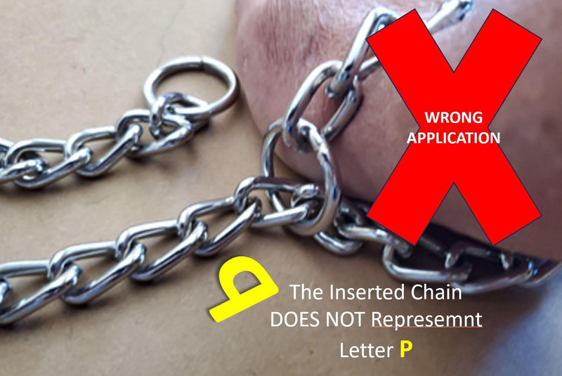 Chain Choke Collar for Dogs, Metal Slip Link Training Heavy Duty Dog Choker Collar Martingale Puppy Collars for XS Small Medium Large Big XL Breed Dogs (Silver, L(Neck Max 20inch) D3.5mm) Silver L(Neck Max 20inch)D3.5mm - PawsPlanet Australia