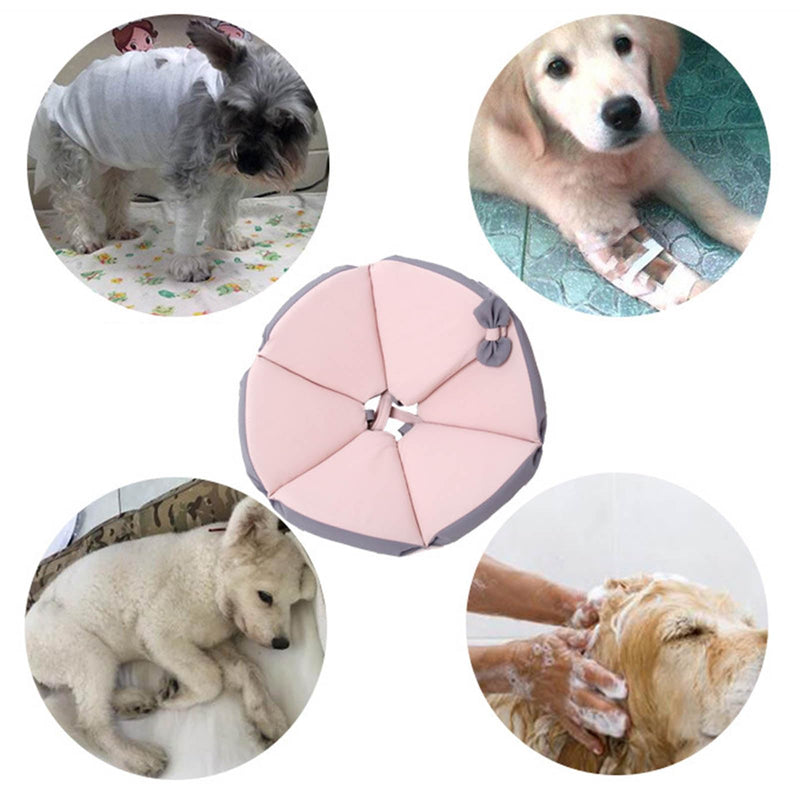 Protector Pet Recovery Holder