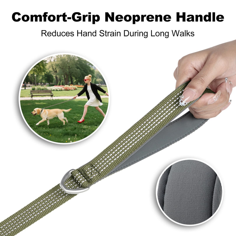 Plutus Pet Heavy Duty Dog Lead with Lockable Aluminum Carabiner, 4/6 Feet Long, Double-Sided Reflective Nylon, Padded Handle, for Puppy, Small, Medium and Large Dogs (Ranger Green, 2.0 x 120cm) Ranger Green