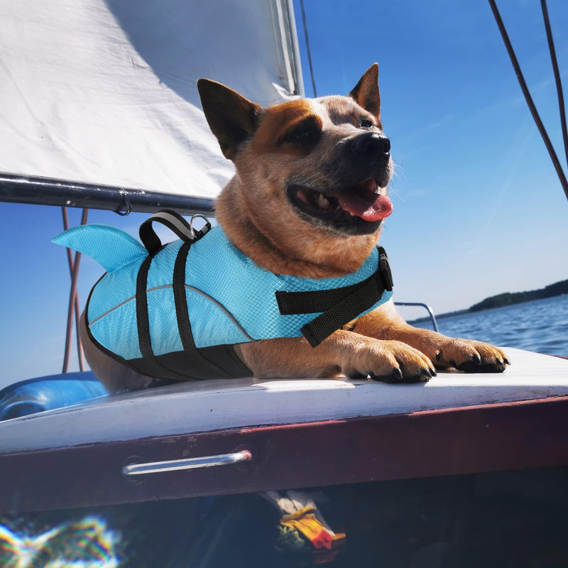 Queenmore Small Dog Life Jacket,Shark Dog Life Vest for Swimming,Puppy Light Life Preserver for Boating Kayaking Canoeing,Pet Lifesaver with High Buoyancy,Rescue Handle,Leash Hook (Peacock Blue,L) Large Peacock Blue - PawsPlanet Australia