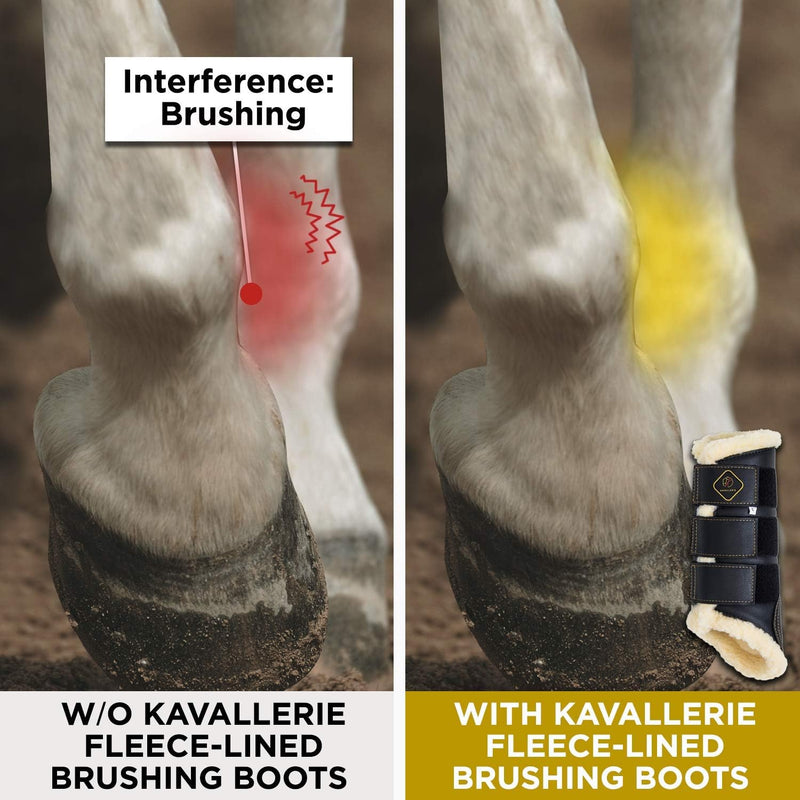 Kavallerie Classic Tendon Boots, Impact-Absorbing Material, Breathable & Evenly Distribute Pressure, Protect Tendon and Ligaments, Anti-Slip, Anti- Sore and Moisture Repellant Show Jumping Boots Support Boots(fleece), Black Medium