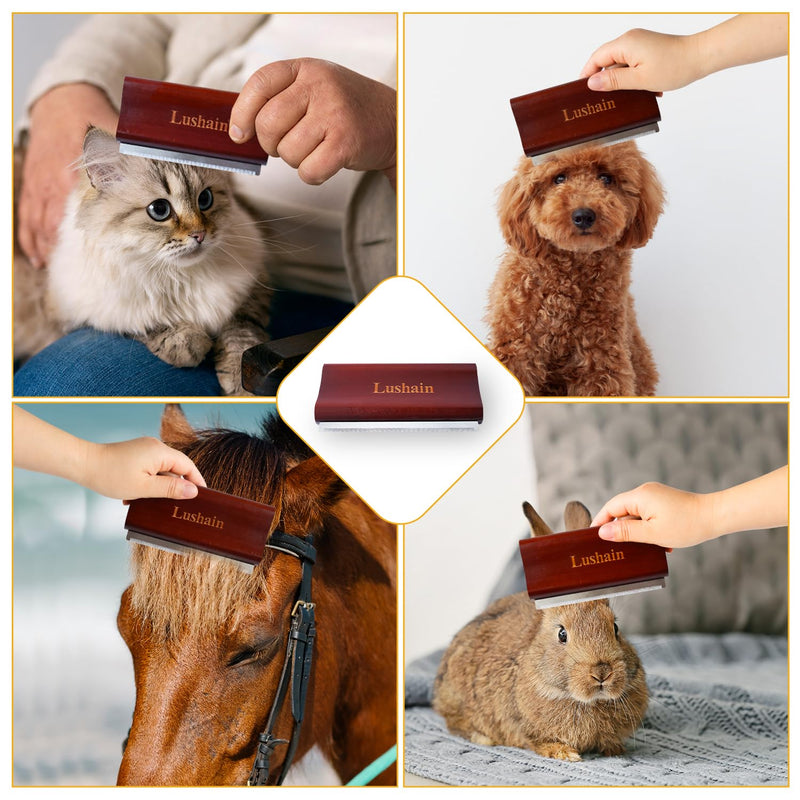 Deshedding Brush for Dogs & Cats | Professional Pet Grooming Tool | Removes Loose Fur, Dirt & Hair | Small, Medium & Large Pets |Ergonomic Wooden Handle| 5 Inches (Brown, 5 inch) Brown - PawsPlanet Australia