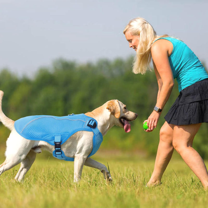Kuoser Dog Cooling Vest Harness, Small Puppy Cooler Jacket with Adjustable Buckle for Outdoor Beach, Hiking, Training Blue S S (Chest Girth:16.9'')