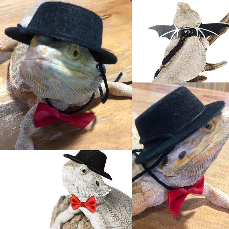 Bearded Dragon Leash Harness, 3 Size Pack Leather Wing Lizard Harness with Hat & Bow Tie Collar for Bearded Dragon Lizard Reptiles Small Pets Photo Props (Black) Black - PawsPlanet Australia