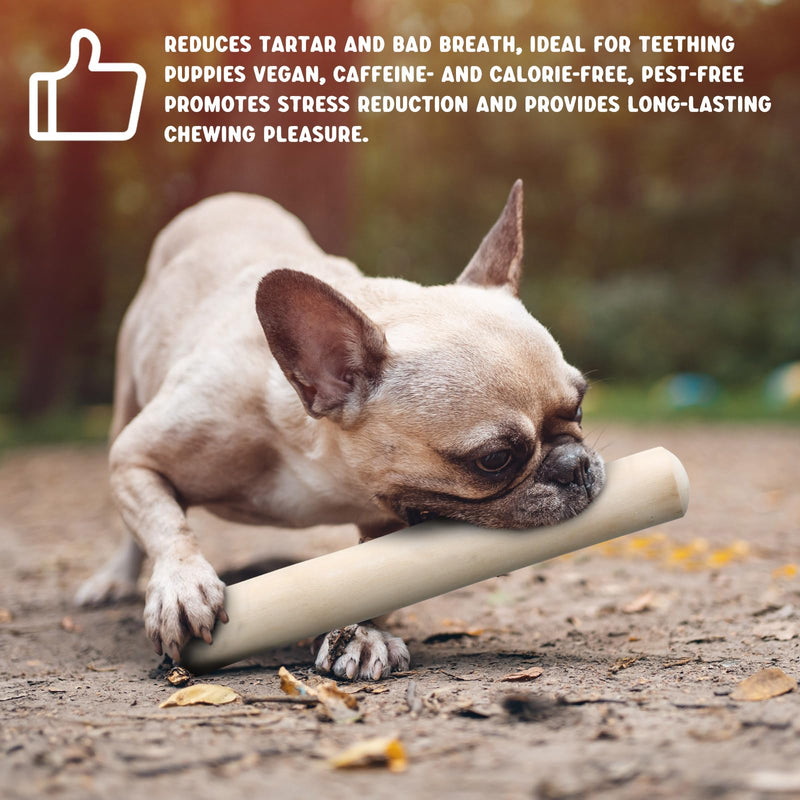 4 Pieces Coffee Wood Stick for Dogs Healthy Dog Chew Sticks Long Lasting Wood Chews for Dogs Natural Wood Bones for Dogs Wooden Aggressive Chewers for Dogs for Pet Dog Teeth Training - PawsPlanet Australia