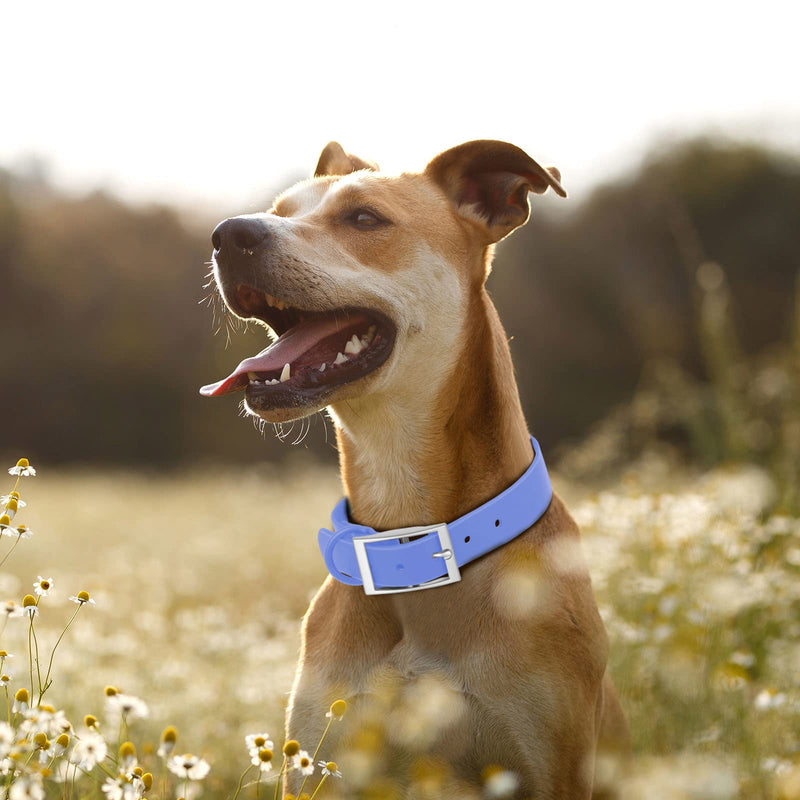 Wisedog Waterproof Dog Collar: Multiple Adjust 7" to 23.6", Soft Rubber Coated Webbing, Easy to Clean, for Small Medium Large Dogs (L|15"-19" × 1 in, Blue) L|15"-19" × 1 in - PawsPlanet Australia