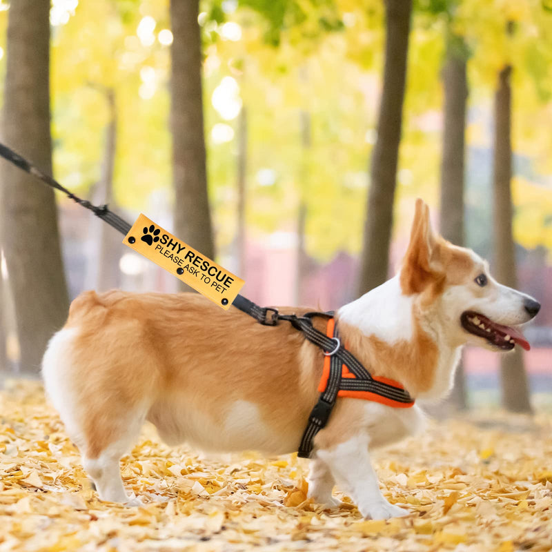 PWHAOO Dot Not Approach Nervous Dog Leash Sleeve Shy Rescue Leash Wrap Nervous Shy Dog Gift (Shy Rescue Sleeve) SHY RESCUE Sleeve - PawsPlanet Australia