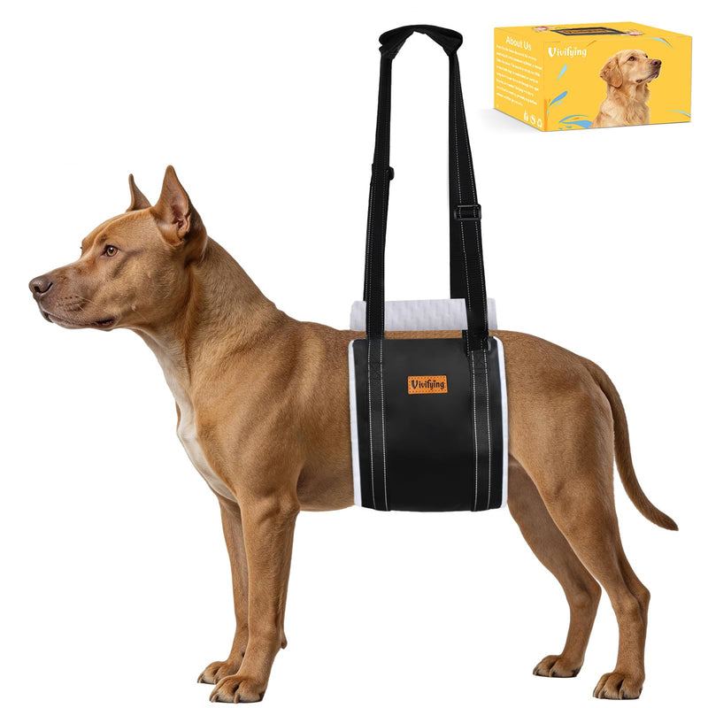 Vivifying Dog Lift Harness for Medium Dogs, Soft Bird's-Eye Cloth Hind Leg Support Sling, Adjustable Dog Lifting Harness for Weak Rear Legs, ACL Surgery Mobility Assist, M, Gray