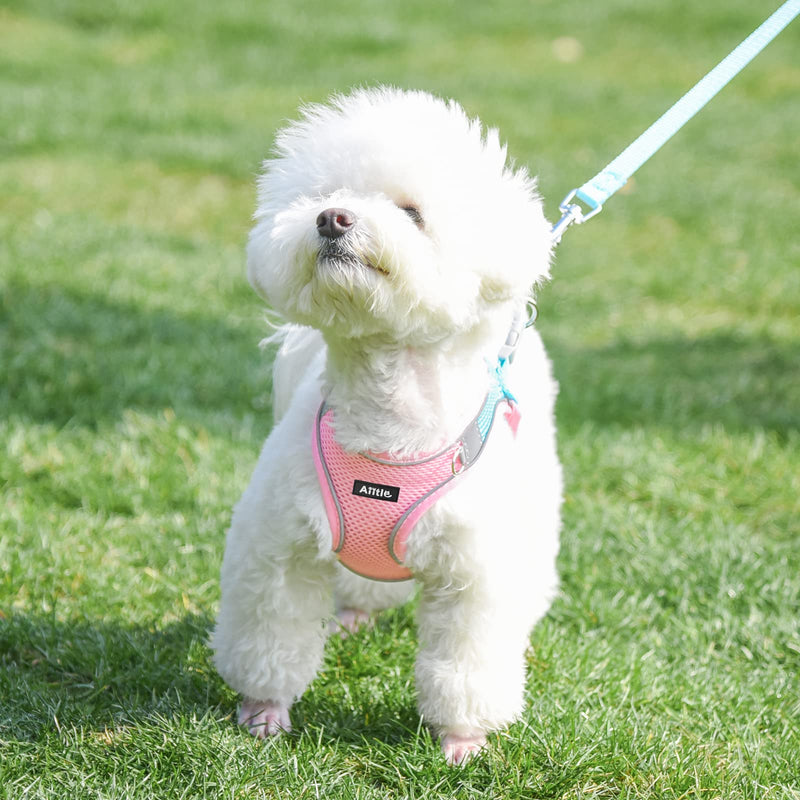 AIITLE Step in Dog Harness and Leash Set - Dog Vest Harness with Super Breathable Mesh, Reflective No-Pull Pet Harness for Outdoor Walking, Training for Small and Medium Dogs, Cats S Pink - PawsPlanet Australia