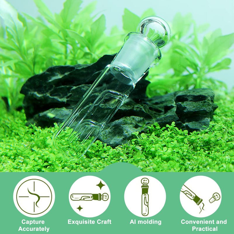 WEAVERBIRD Planaria Trap Catch Trap Leeches Catcher, Clear Glass Leech Trap Tube Catcher 2, 8 Holes for Cherry Shrimp Crystal Red Shrimp Dwarf Shrimp for Aquarium Fish Tank