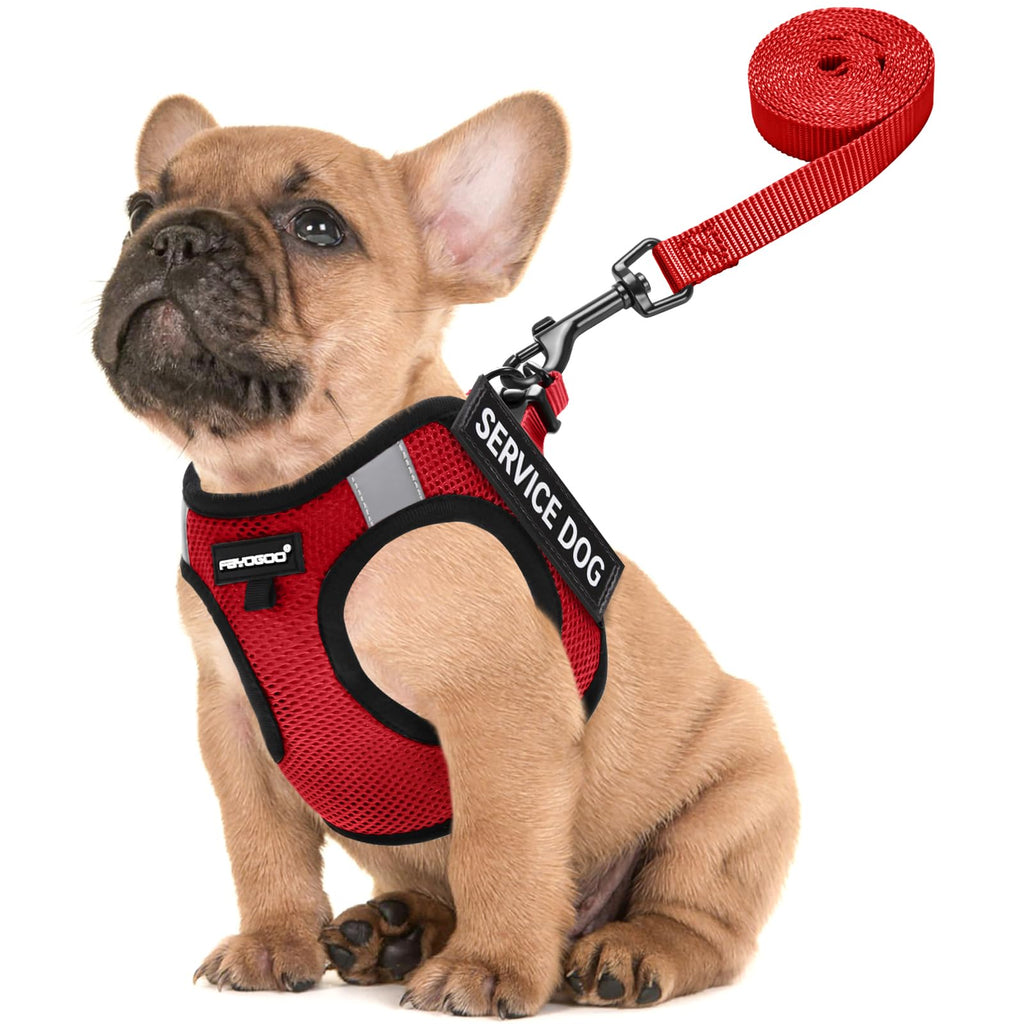 FAYOGOO Service Dog Vest for Small Breed - Lightweight Dog Harness with 6PCS Removable Patches - Puppy Harness and Leash Set for Walking,Training Red S(Chest 12''-14'')