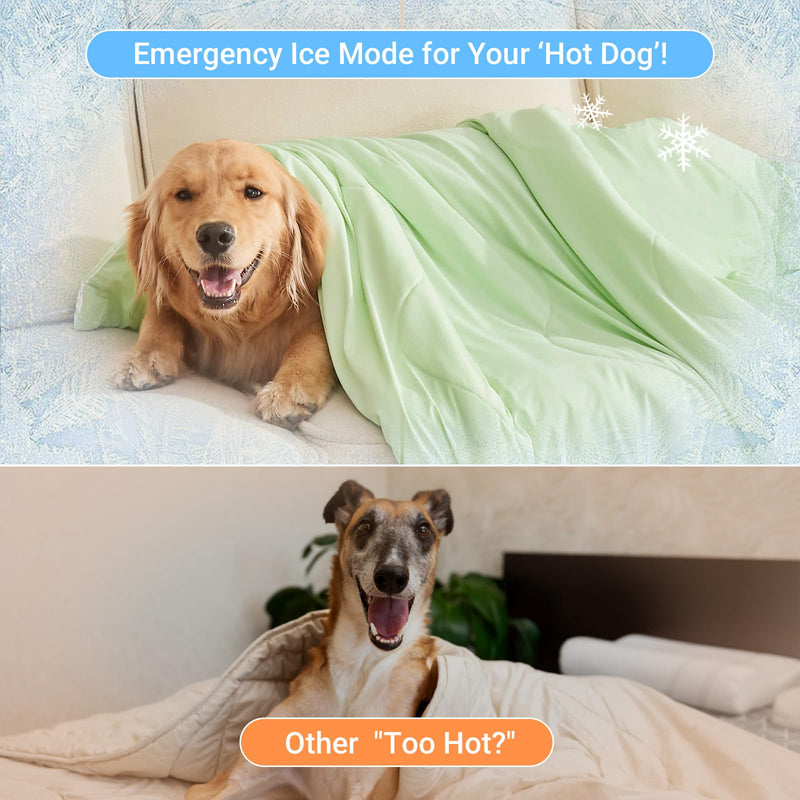 Cooling Blanket for Dogs, Dog Blankets for Large Dogs, Q-MAX > 0.5 Cold Washable Dog Blanket, Soft Durable Self Cooling Cat Mat for Hot Weather, Green 40x50 40"x50" - PawsPlanet Australia
