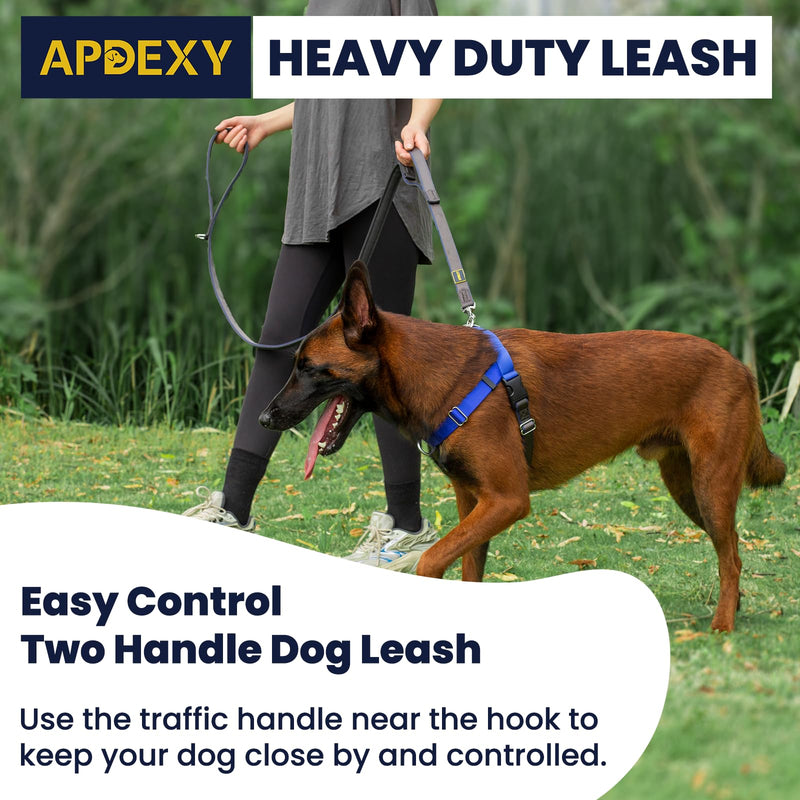 2 Handle Dog Leash, with Sandwich Mesh-Lined Webbing Traffic Padded, 6ft Long for Control Saftey Training for Large Dogs Pull, Dual Handles Leads (Black/Grey, 1'' X 6ft.) 1'' X 6ft. Black/Grey - PawsPlanet Australia