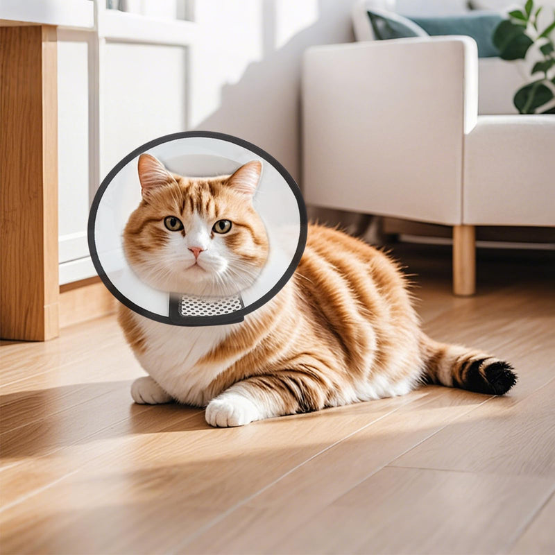 VOSSOT Pet Cone Recovery, Cat Collar, Anti-Leak, Lightweight Plastic Protective Collar, Hygienic Collar for Pets, Post-Operative, Anti-Bite Soft for Cats and Small Dogs, Neck Circumference 22-26 cm