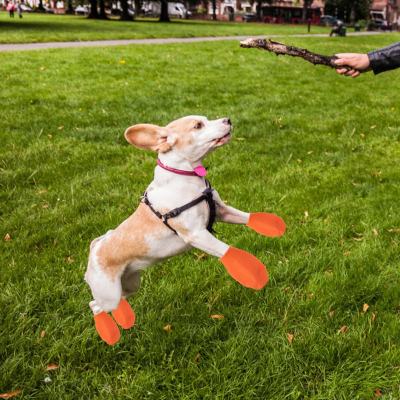 Waterproof Pet Shoes - 4Pcs Non-Slip Durable Dog Boots for Outdoor Protection Rain & Snow Paw Covers for Cats and Dogs Easy on/Off Size Suitable for Small Pets M Orange