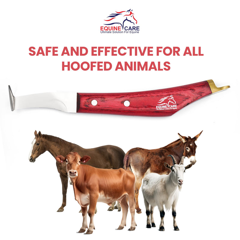 Hoof Knife - J2 Japanese Steel Blade with Hoof Pick, Brass Topper Sheet Handle - Farrier Tool for Horse & Cow Hoof Care, Shoeing, Trimming, and Supplies. (Right-Handed) Right-Handed - PawsPlanet Australia