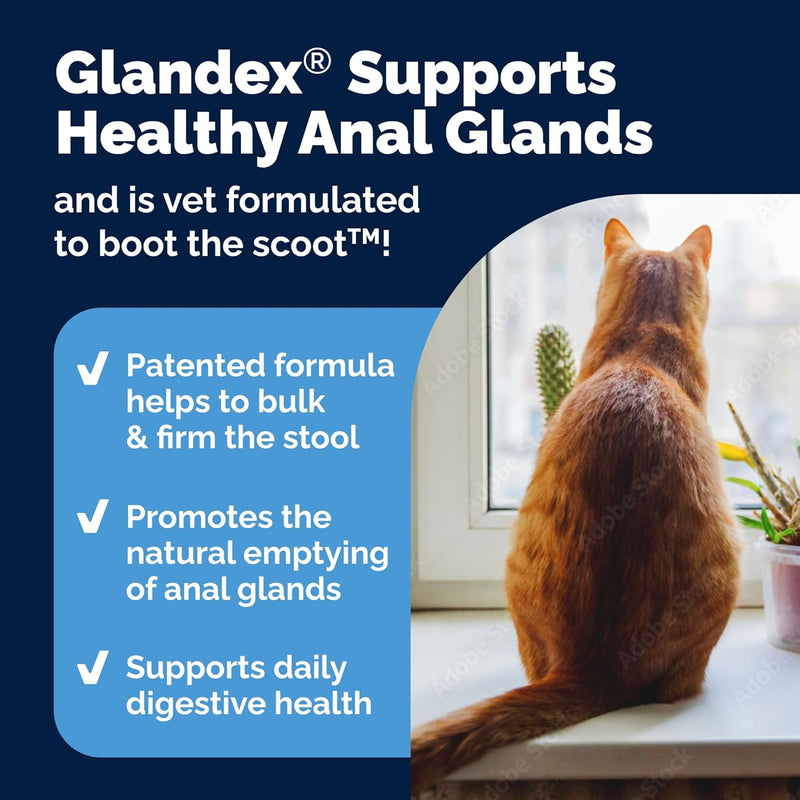 Glandex Feline Anal Gland Fiber Supplement Powder for Cats with Digestive Enzyme, Probiotics and Pumpkin, Vet Recommended for Healthy Bowels - Tuna Flavored 4.0 oz, Scoop Included - PawsPlanet Australia