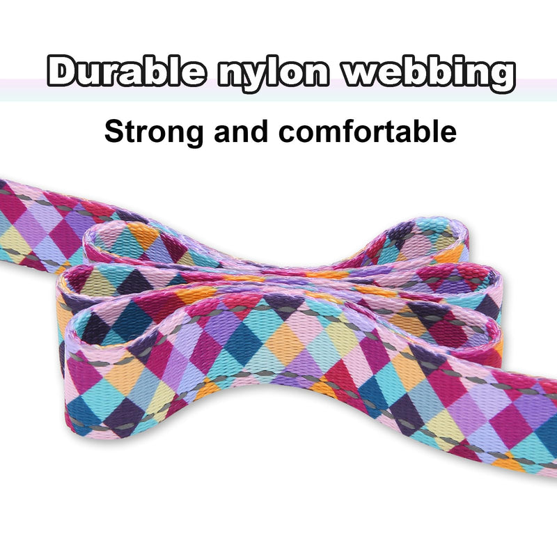 Reflective 5ft Dog Leash with Padded Handle, Soft Nylon Pet Leash with Neoprene Handle for Small Dogs, Colorful Geometric 5/8in x 5ft - Single Handle - PawsPlanet Australia