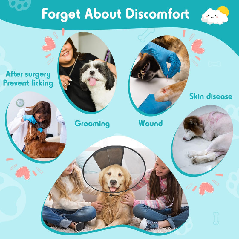 Dog Cone Collar, Transparent Recovery Cone for Large Medium Small Dogs, Soft Elizabethan Collar After Surgery to Prevent Licking Wound, Enhanced Visibility Patented Ultra Transparent M(Neck:10.5-14")