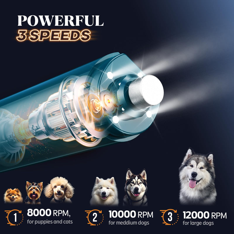 YABIFE 4-Lights Dog Nail Grinder, Easy Quick Locate Dog Nail Trimmers, for Puppy Paw Toenails or Pets from Small, Medium to Large, with Travel Lock, Whisper Quiet, Heavy Duty 3 Speeds A - Dark Blue - PawsPlanet Australia