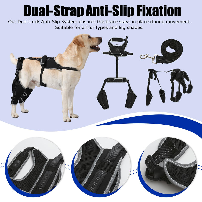 Dog Knee Brace with Adjustable Support Acl Hind Leg for Support with Cruciate Ligament Injury, luxating Patella,Arthritis,Dog Acl Knee Brace with Dog Chest Harness M Black01
