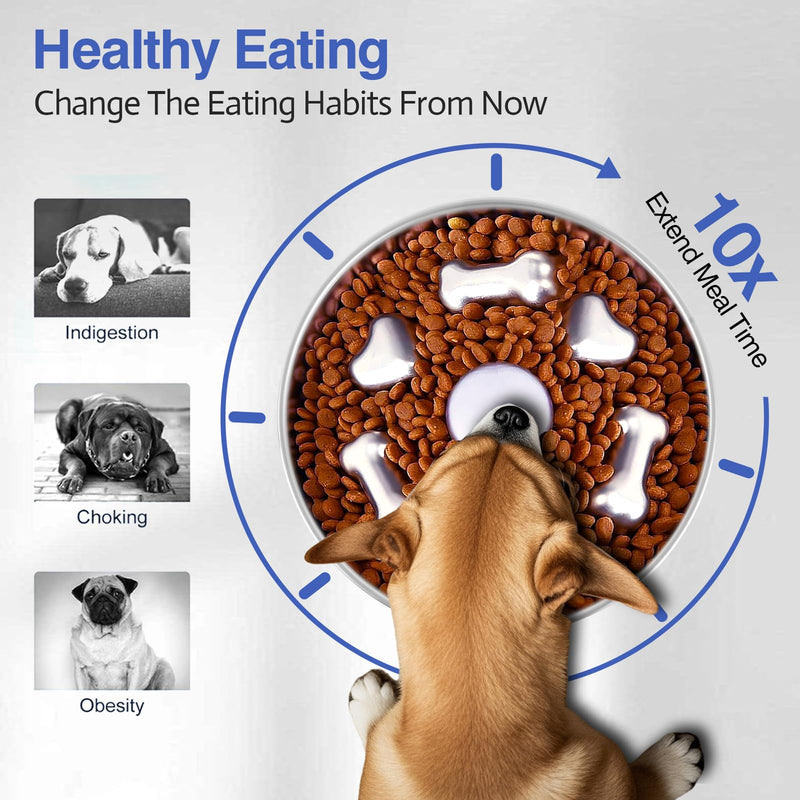 Slow Feeder Dog Bowls Stainless Steel Dog Bowls with Non-Slip Rubber Base Metal Large Capacity Slow Feed Dog Bowl for Small Medium Size Dogs Large Breed - PawsPlanet Australia