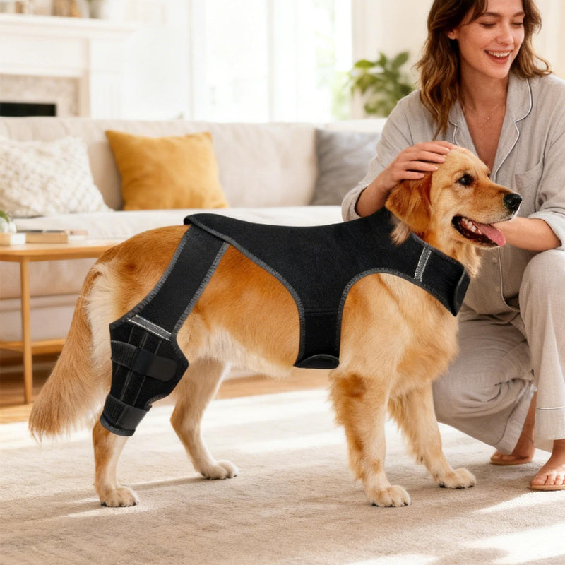 Dog Hip Bandage - Adjustable Knee Bandage with 4 Metal Stabilisers for Supporting the Hind Legs - for Hiking, Training, Outdoor Activities, Park, Travel, at Home black L
