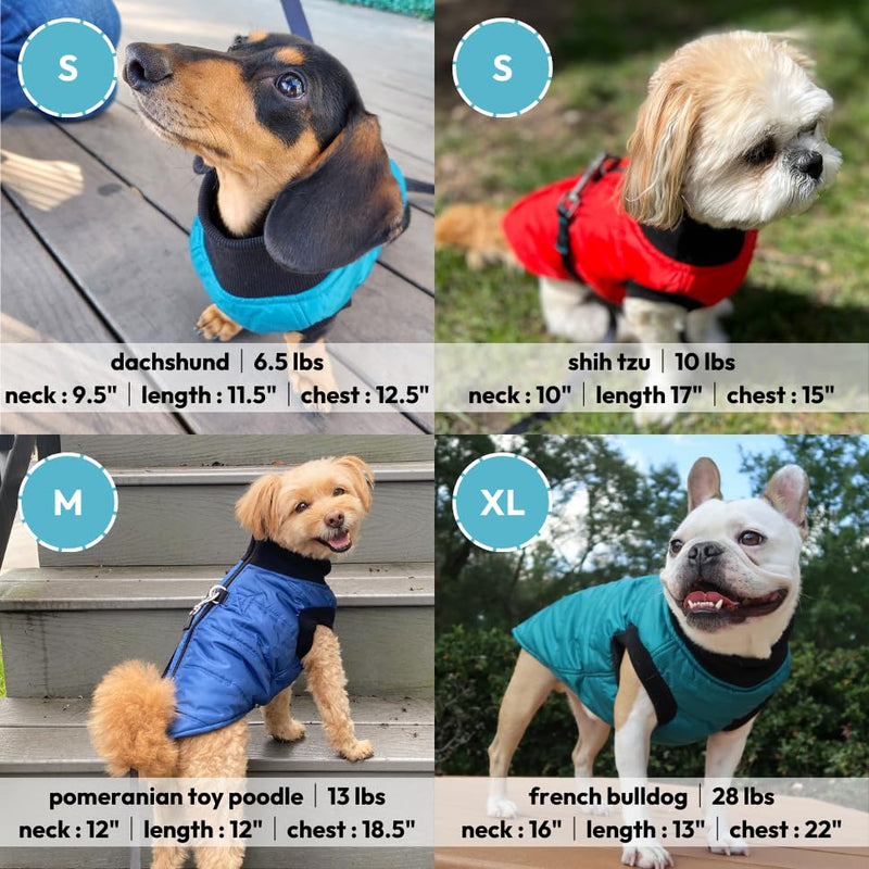 Gooby G21 Bomber Dog Jacket - Red, Small - Winter Waterproof Zip Up for Small to Medium Dogs with Dual D Ring Leash - Warm Windproof Dog Clothes Small chest (16")